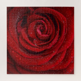 Puzzle Fleur de rose rouge