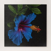 Puzzle Fleur d'Hibiscus Bleu Florant, (Horizontal)