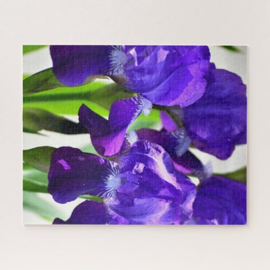 Puzzle Fleur d'Iris pourpre (Horizontal)