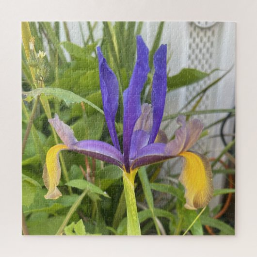 Puzzle Fleur d'Iris violet extérieur Jardin Nature Photo (Vertical)