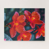 Puzzle Fleur d'orchidée rouge (Horizontal)