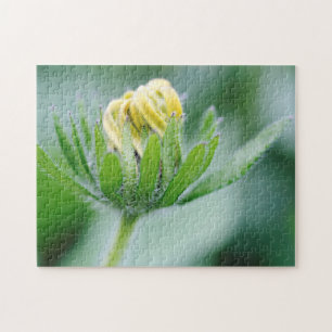 Puzzle Fleur D'Ouverture De La Fleur De Cône