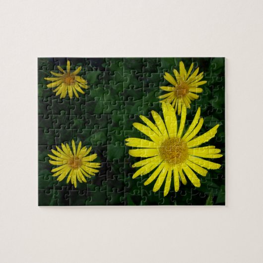 Puzzle Fleur du Minnesota Jaune (Horizontal)