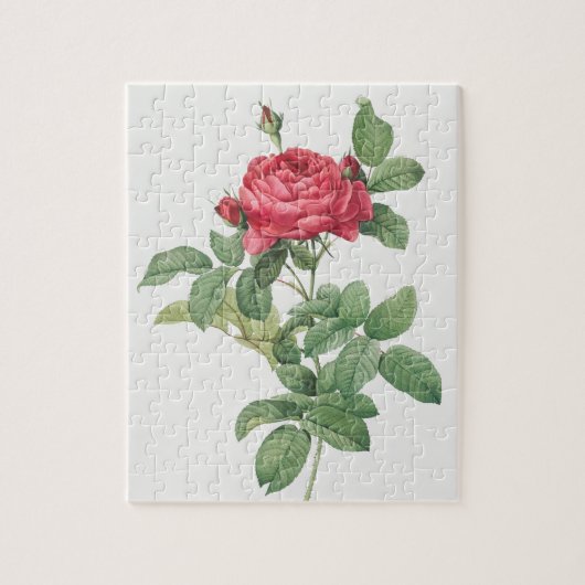 Puzzle Fleur floraison rose Vintage vieille illustration (Vertical)