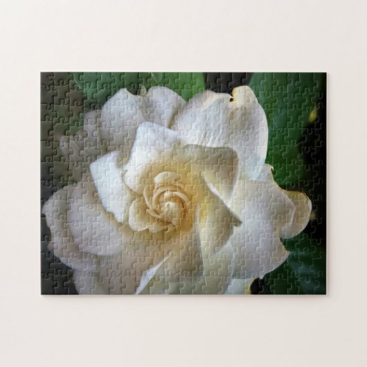 Puzzle Fleur Gardenia blanche (Horizontal)