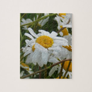 Puzzle Fleur heureuse - visage heureux de marguerite sour
