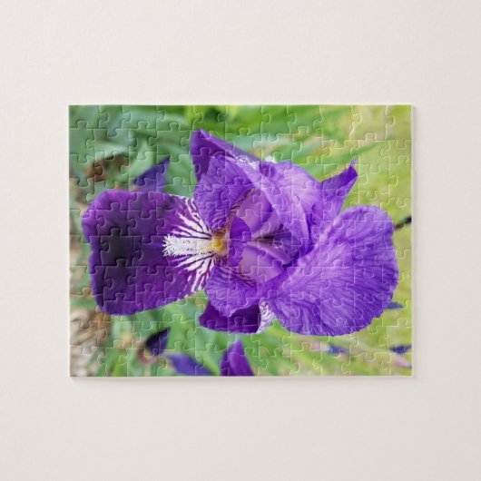 Puzzle Fleur Iris Violet (Horizontal)