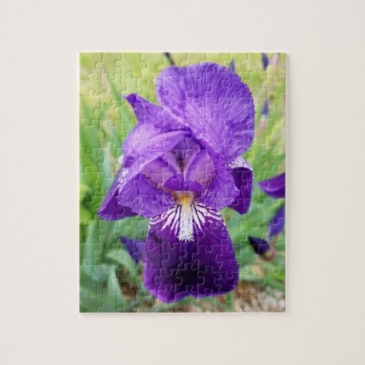 Puzzle Fleur Iris Violet (Vertical)