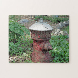Puzzle Fleur Jardin Rusty Fire Hydrate 