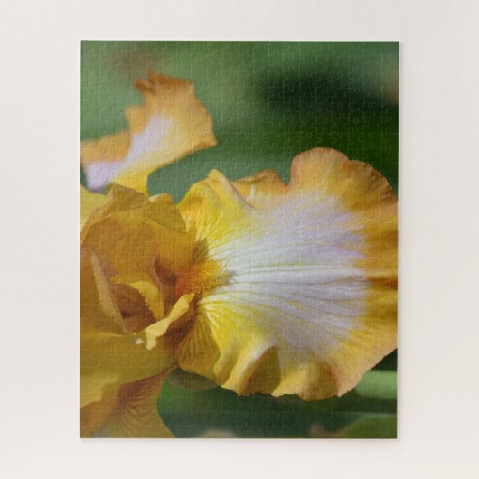 Puzzle Fleur Jaune Iris (Vertical)