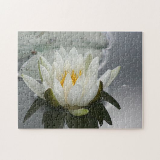 Puzzle Fleur Lily Lotus en fleurs d'eau blanche (Horizontal)