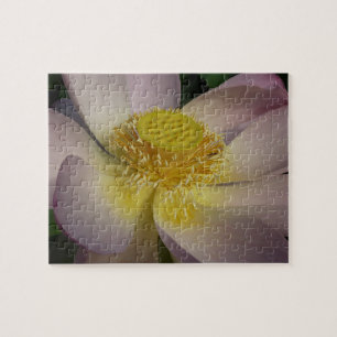 Puzzle Fleur Lotus Rose I Floral Été