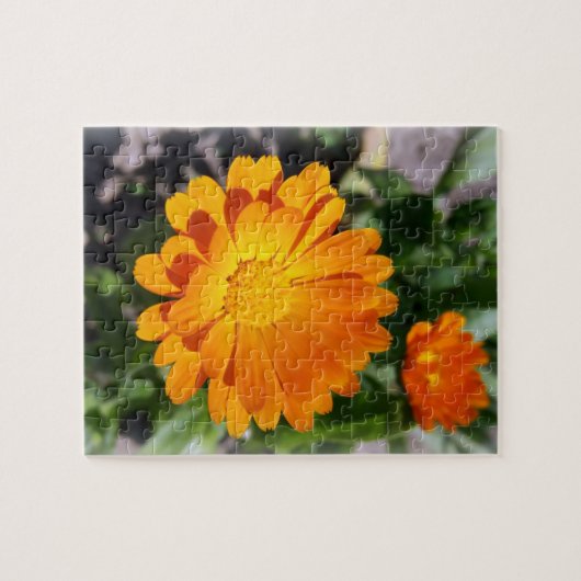 Puzzle fleur marigée (Horizontal)