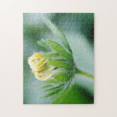 Puzzle Fleur ouverte de l'Echinacea (Vertical)