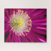 Puzzle Fleur plante de glace rose (Horizontal)