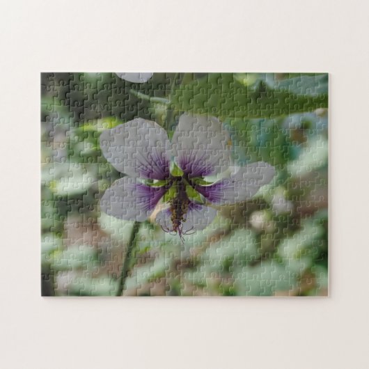 Puzzle Fleur pourpre (Horizontal)