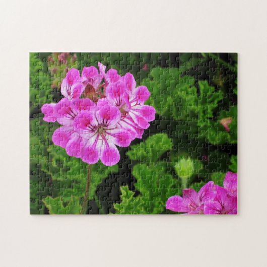 Puzzle Fleur rose - (Horizontal)