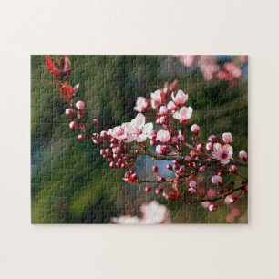 Puzzle Fleur rose dans la lumière chaude de l'été