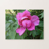 Puzzle Fleur rose en fleurs esthétique Photo - (Horizontal)