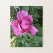 Puzzle Fleur rose en fleurs esthétique Photo - (Vertical)