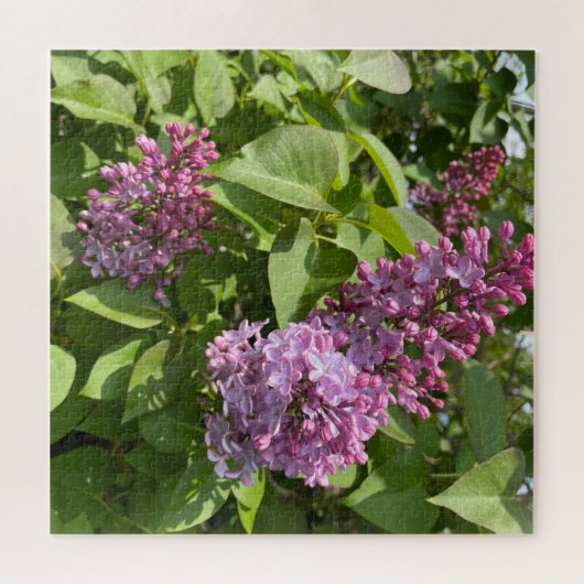 Puzzle Fleur rose Lilac (Horizontal)