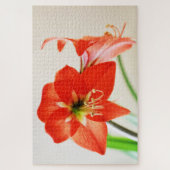 Puzzle Fleur rouge d'amaryllis (Vertical)