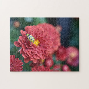 Puzzle Fleur rouge Nature Photographie du dendroctone ins