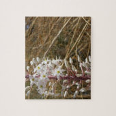 Puzzle fleur sauvage (Vertical)