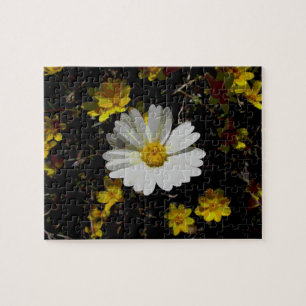 Puzzle fleur sauvage