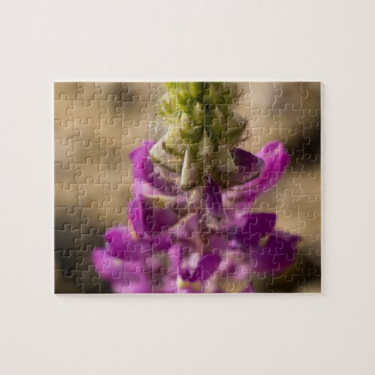 Puzzle fleur sauvage 4 (Horizontal)