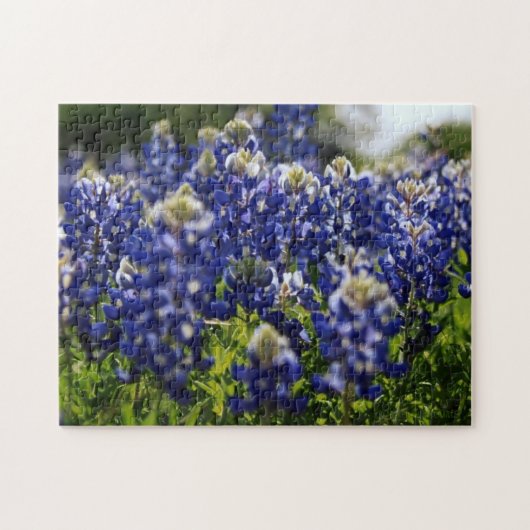 puzzle fleur sauvage bluebonnet (Horizontal)