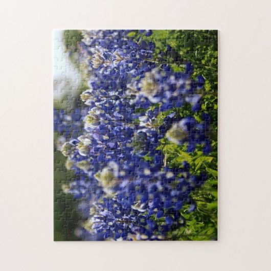puzzle fleur sauvage bluebonnet (Vertical)