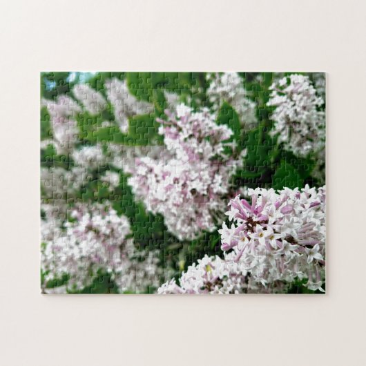 Puzzle Fleur sauvage créative promenade photo jigsaw puzz (Horizontal)