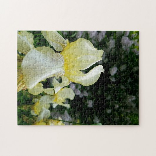 Puzzle Fleur sauvage créative promenade photo jigsaw puzz (Horizontal)