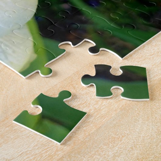 Puzzle Fleur sauvage créative promenade photo jigsaw puzz (Côté)