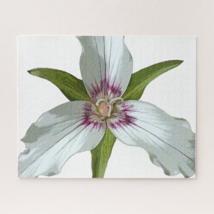 Puzzle Fleur sauvage de printemps Trillium peint