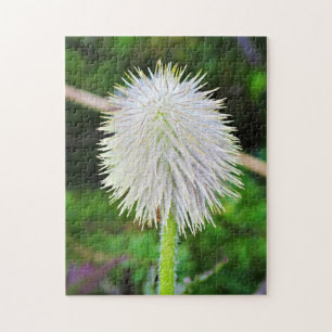 Puzzle Fleur sauvage de Washington Pasqueflower White See