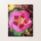 Puzzle Fleur sauvage Desert Five Spot (Vertical)