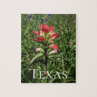 Puzzle Fleur sauvage du Texas
