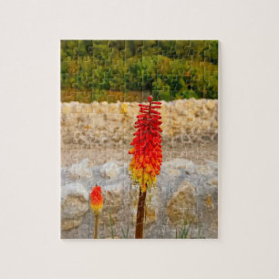 Puzzle Fleur sauvage & Ruines Historiques Personnalisé