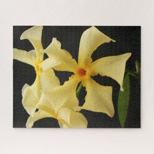 Puzzle Fleur Star Jasmine 16x20 520pc jpa