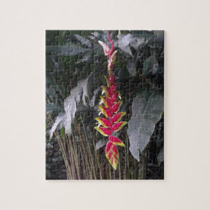 Puzzle Fleur Tropicale