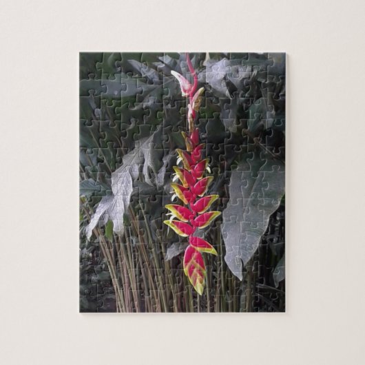 Puzzle Fleur Tropicale (Vertical)