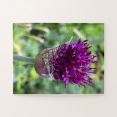 Puzzle Fleur violette d'Allium | Botanique  (Horizontal)