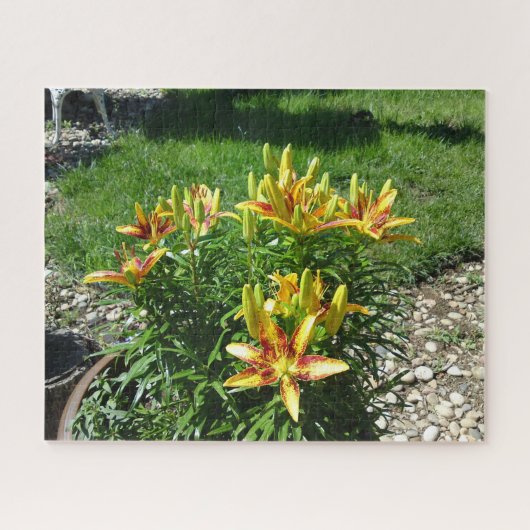 Puzzle Fleurie (Horizontal)