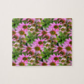 Puzzle Fleurissement d'Echanicea (Horizontal)