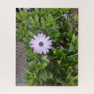 Puzzle Fleurs