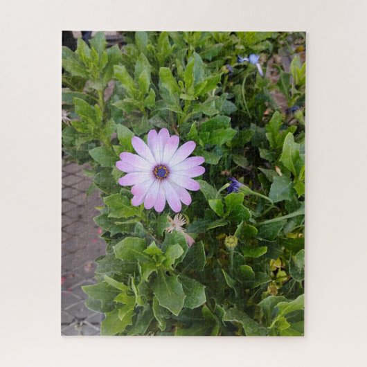Puzzle Fleurs (Vertical)