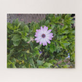 Puzzle Fleurs (Horizontal)