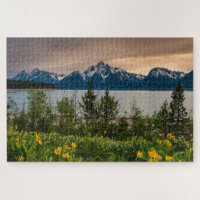 Fleurs à Colter Bay
